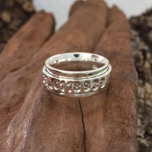 Silver GPS Single Spinner Ring by the Zuri Collection