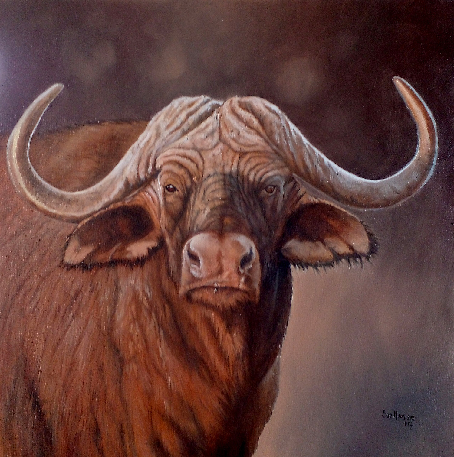 Indomitable Indomitable by Sue Maas - 70x70cm - oils On Canvas
