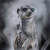 If the danger is still there by Godknows Masiri - charcoal & pastel on paper-60x60cm