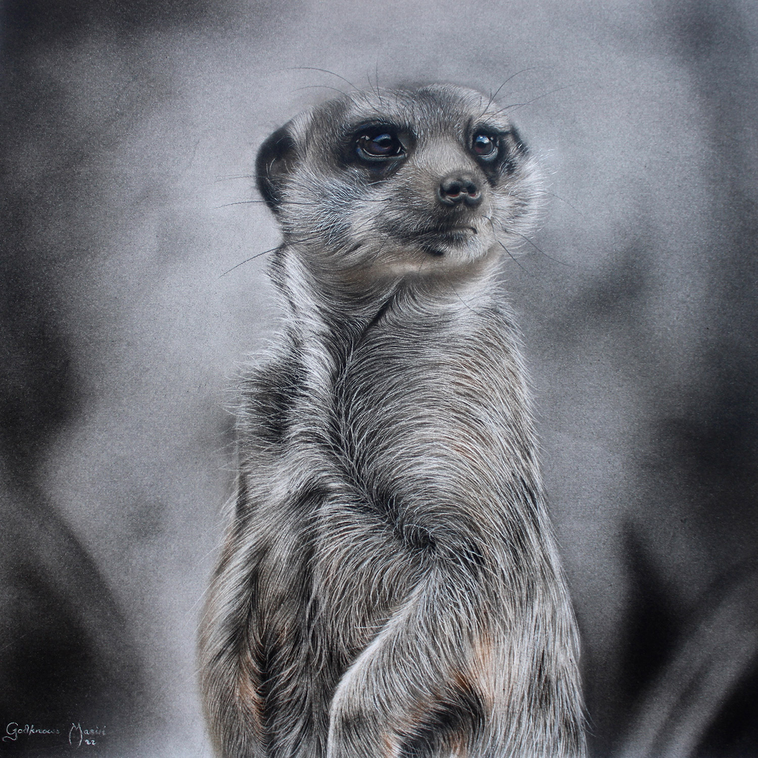If the danger is still there If the danger is still there by Godknows Masiri - charcoal & pastel on paper-60x60cm