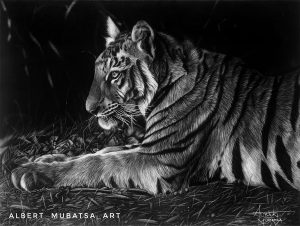 downtime by Albert Mubatsa