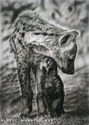 they say we laugh by Albert Mubatsa